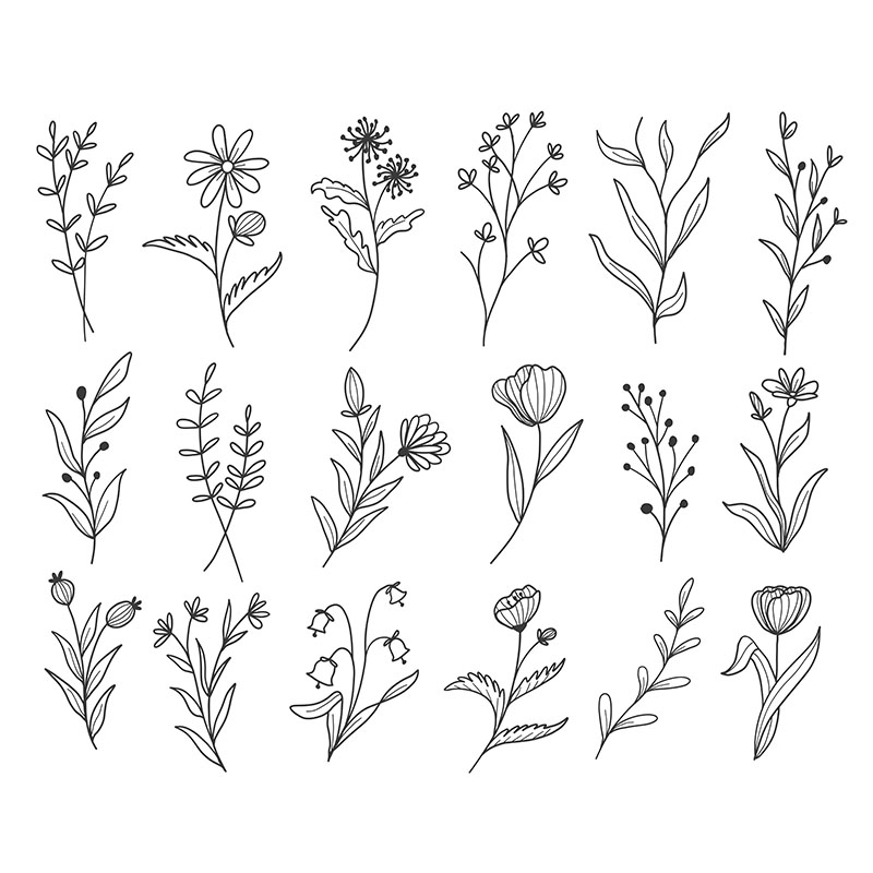Ταπετσαρία χώρου με Flower Sketches